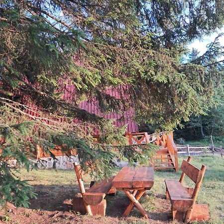 Guest House Mickovic Zabljak  Exterior photo